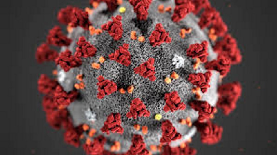 Bilde av koronavirus